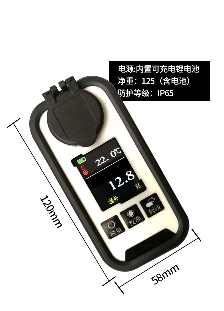 MS-P-DMAC濃度手持式分析檢測(cè)儀