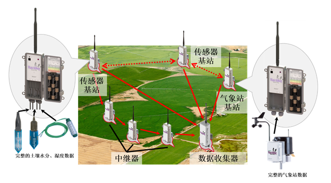 WatchDog 無線網(wǎng)絡監(jiān)測系統(tǒng)
